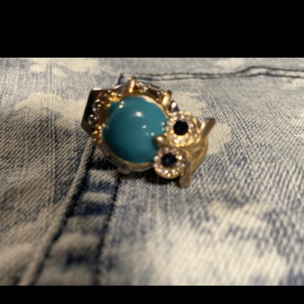 Owl ring with clock
